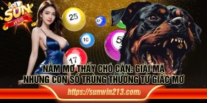 Nằm mơ thấy chó cắn: Giải mã những con số trúng thưởng từ giấc mơ