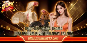 Trực tiếp đá gà thomo: Trải nghiệm kịch tính ngay tại nhà