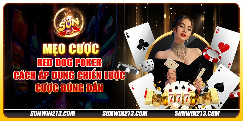 Mẹo cược Red Dog Poker - Cách áp dụng chiến lược cược đúng đắn